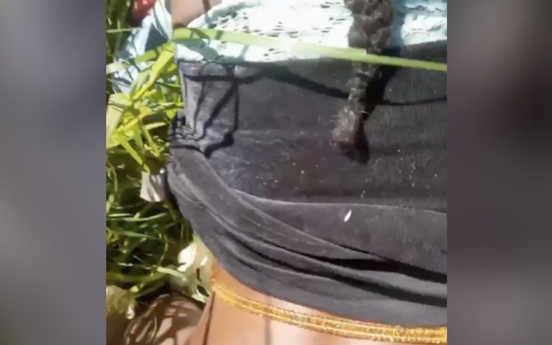 Man Fucking Neighbour's Wife in The Bush